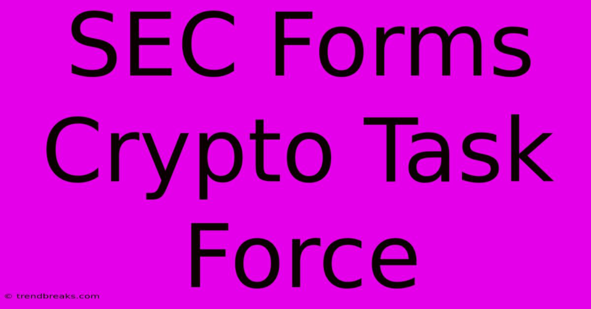 SEC Forms Crypto Task Force