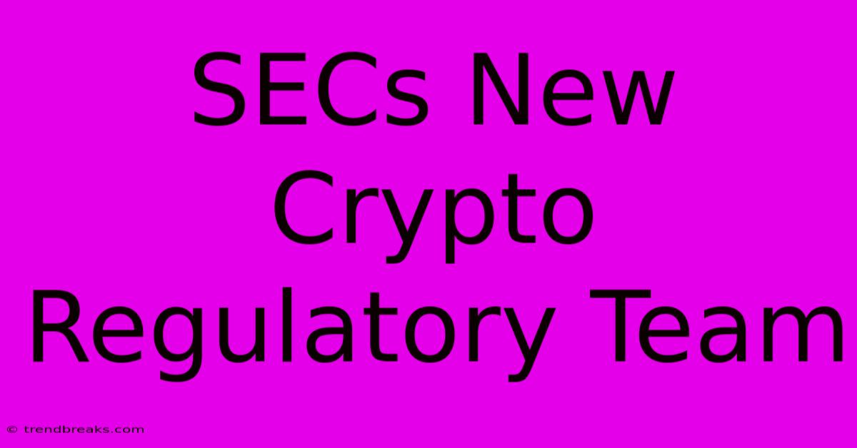 SECs New Crypto Regulatory Team