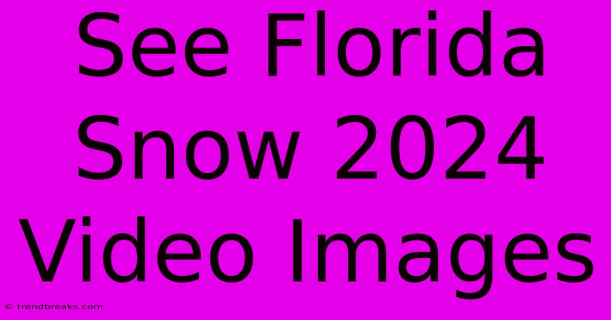 See Florida Snow 2024 Video Images