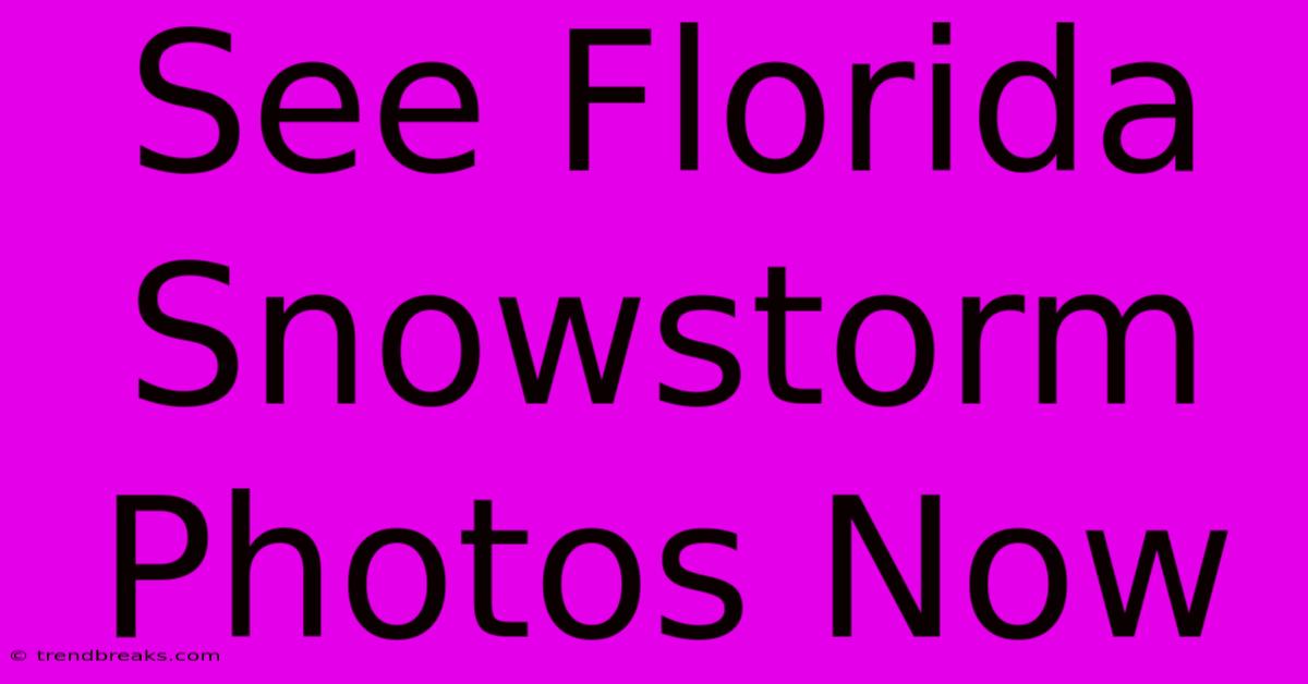 See Florida Snowstorm Photos Now