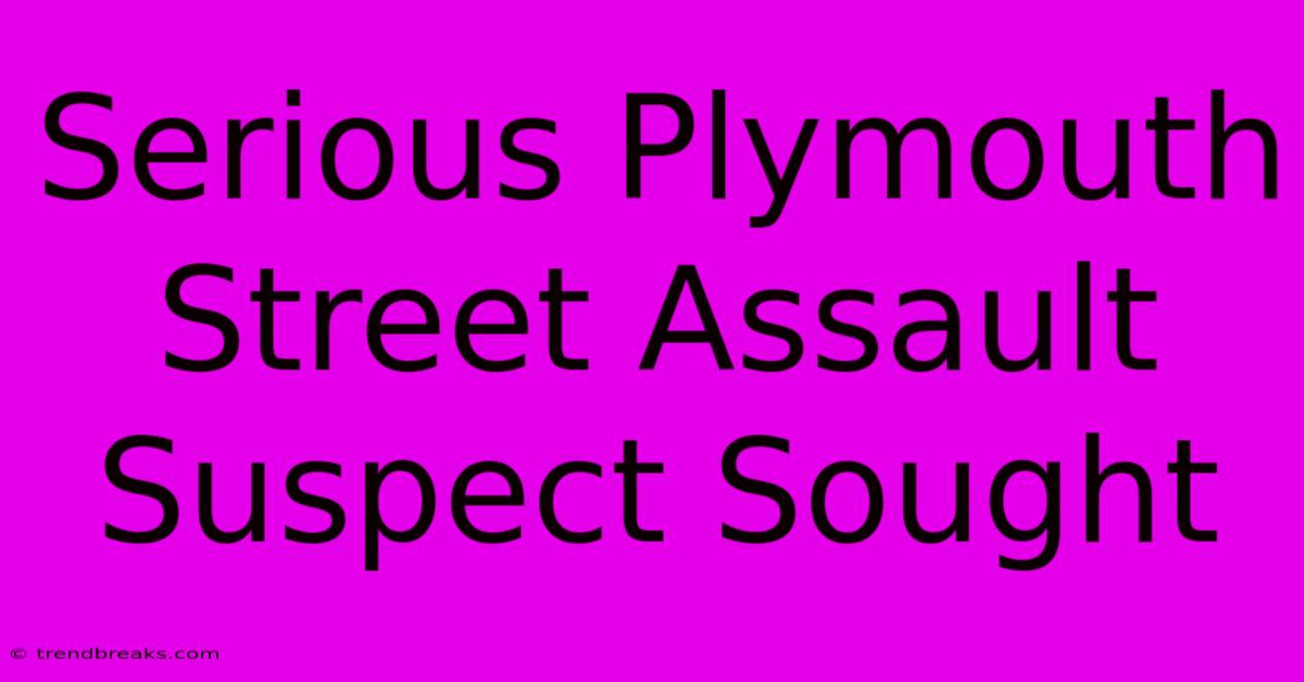 Serious Plymouth Street Assault Suspect Sought