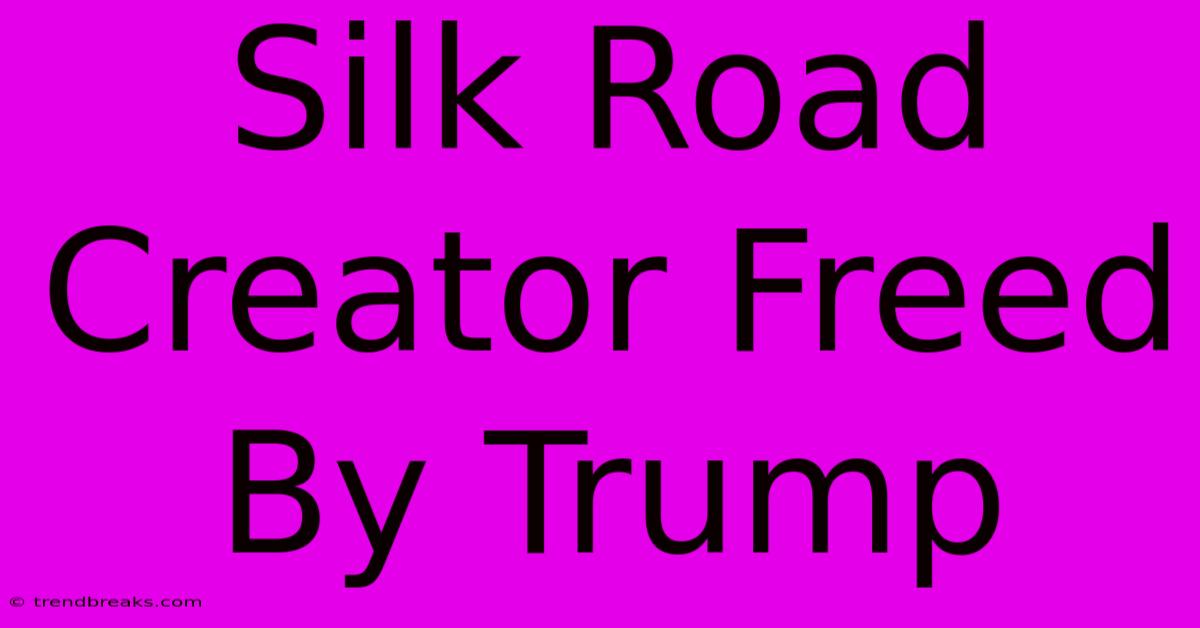 Silk Road Creator Freed By Trump