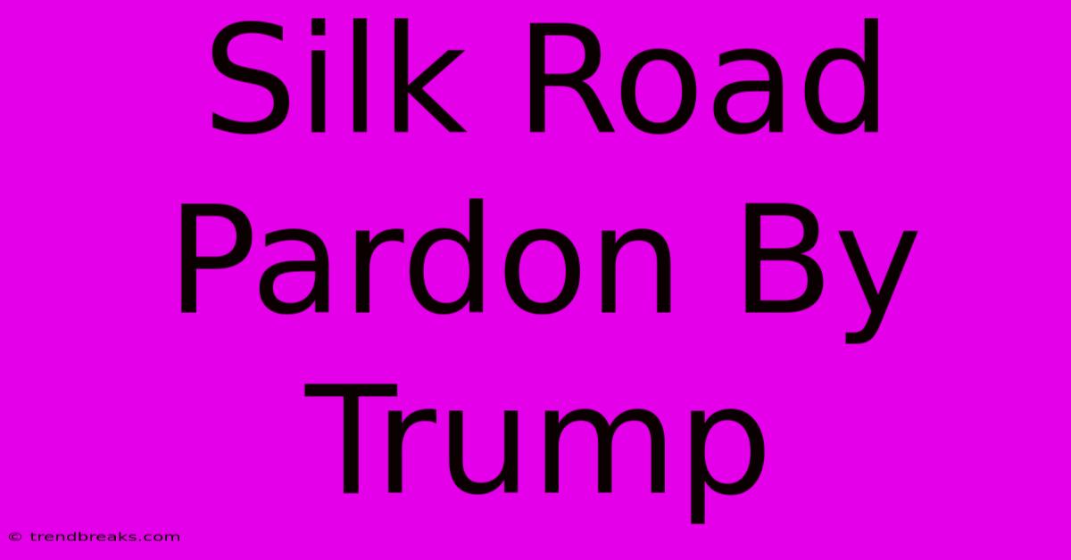 Silk Road Pardon By Trump