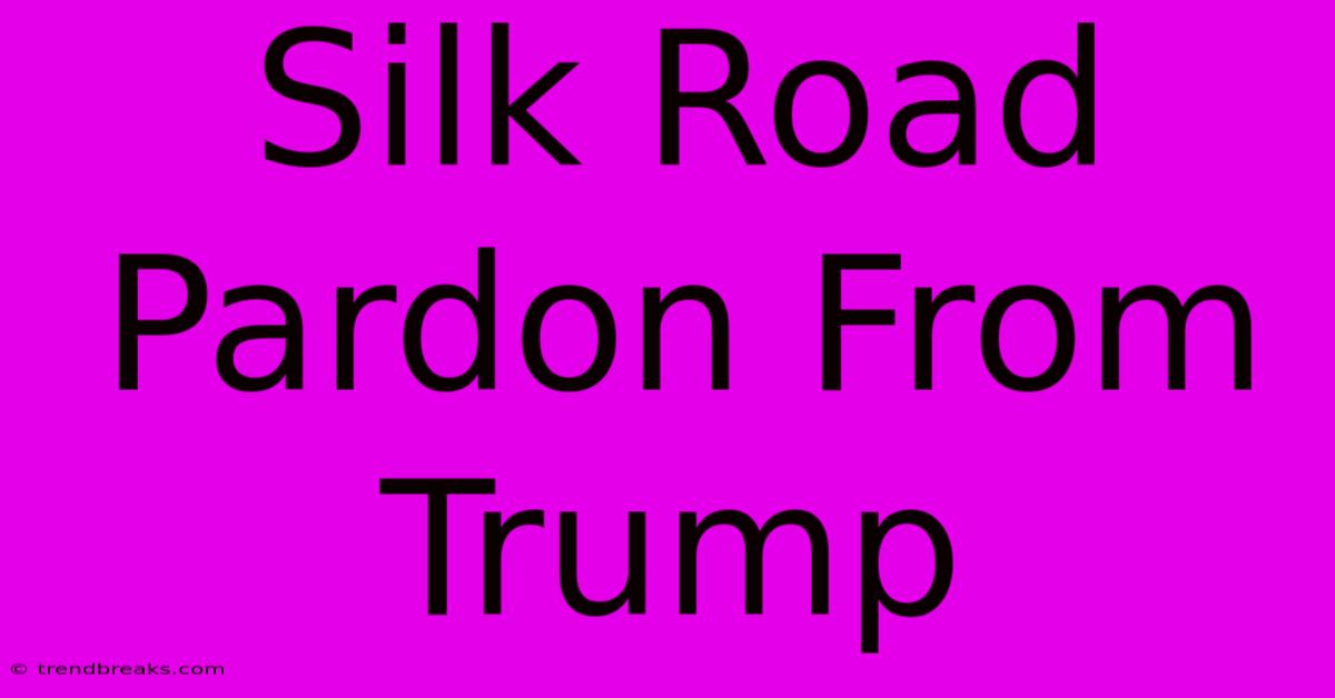 Silk Road Pardon From Trump