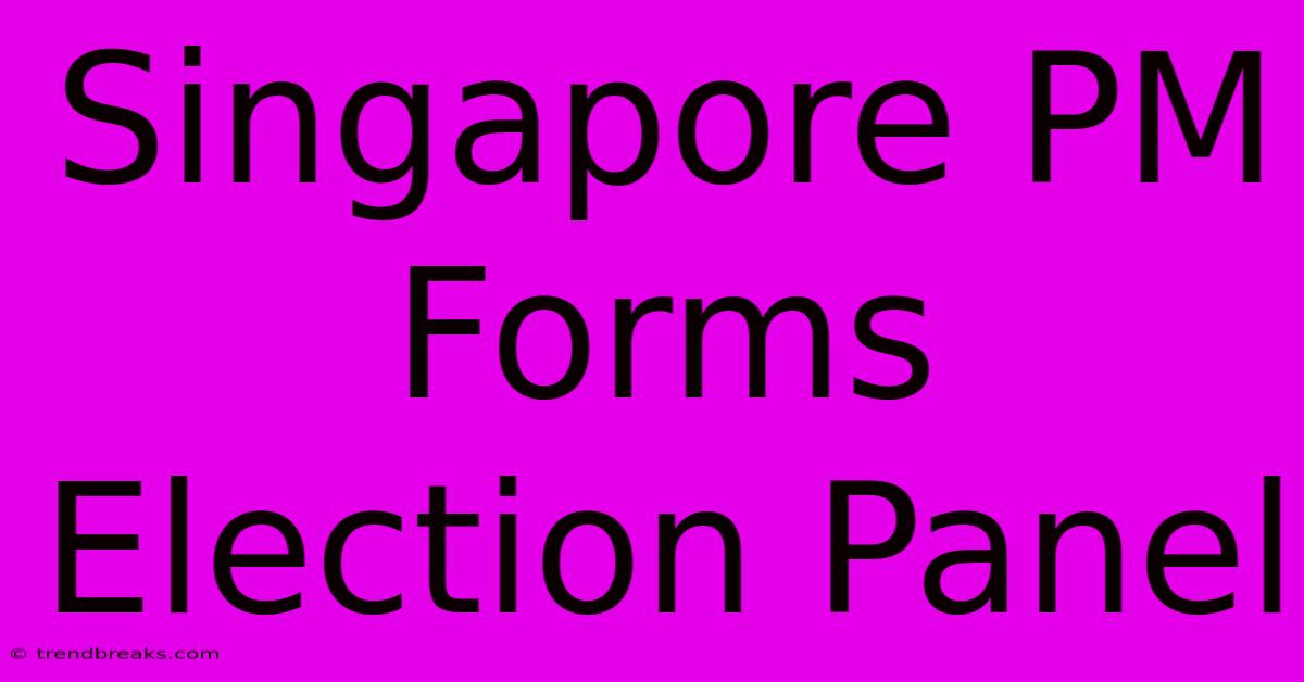 Singapore PM Forms Election Panel