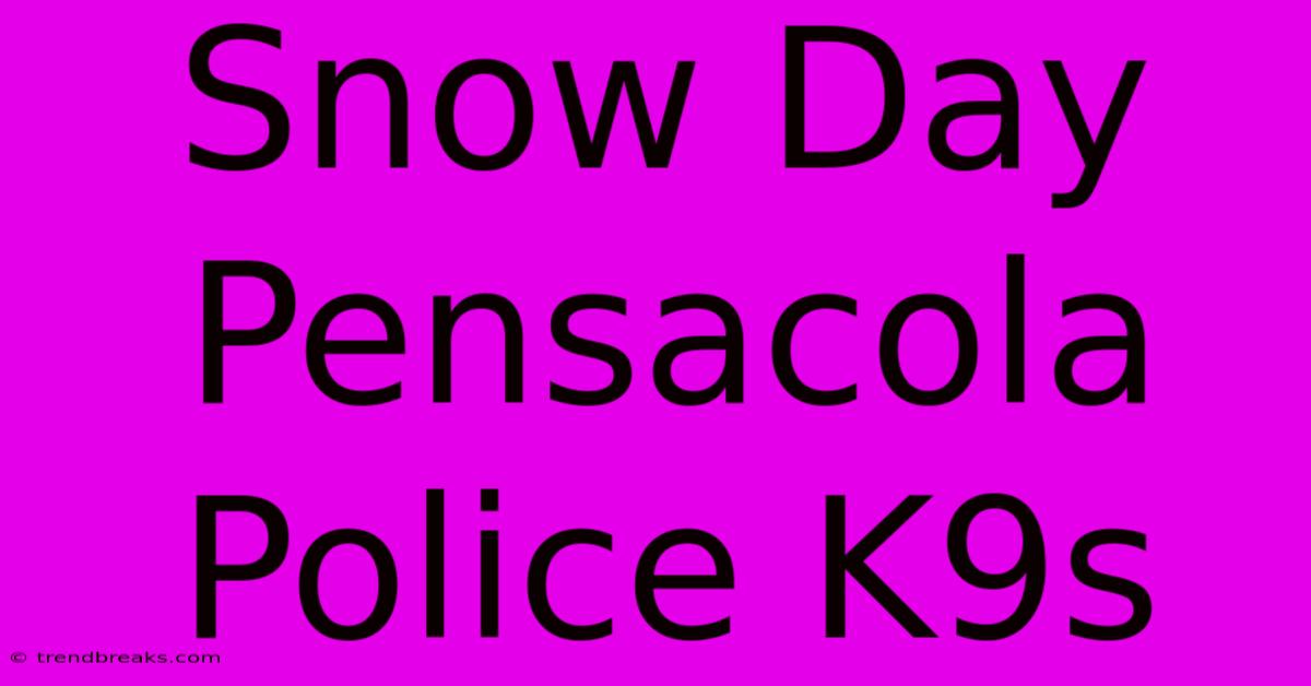 Snow Day Pensacola Police K9s