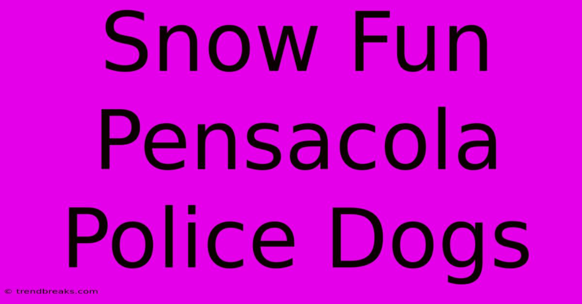 Snow Fun Pensacola Police Dogs