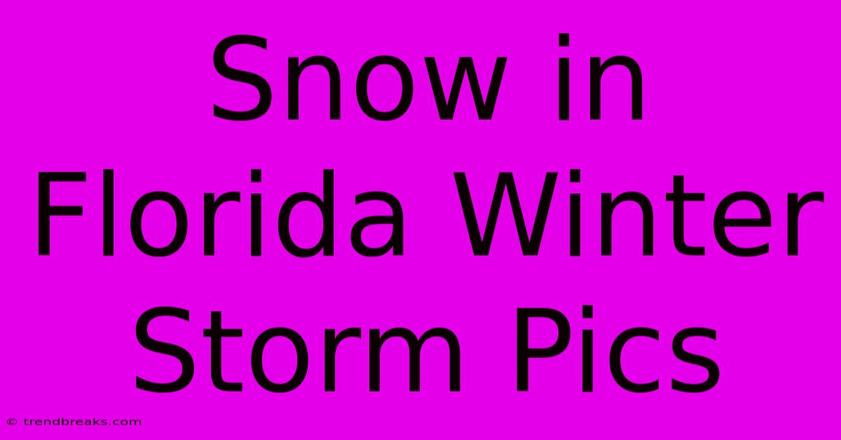 Snow In Florida Winter Storm Pics