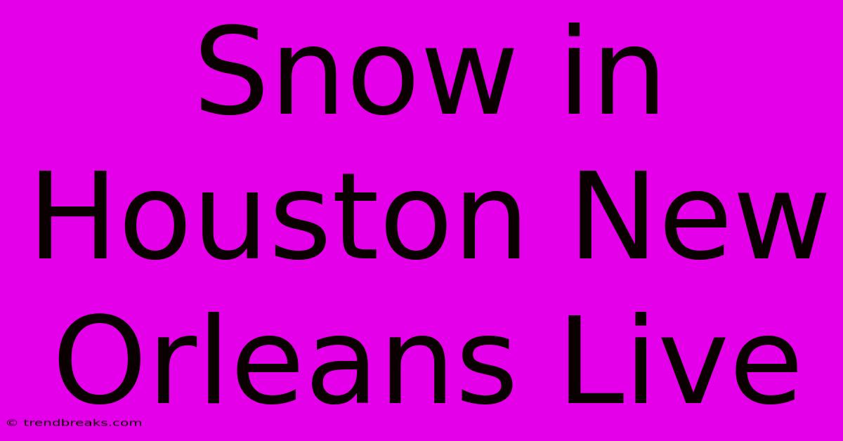 Snow In Houston New Orleans Live