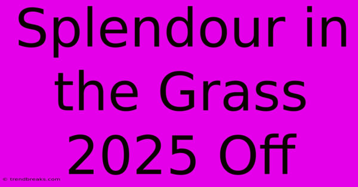 Splendour In The Grass 2025 Off