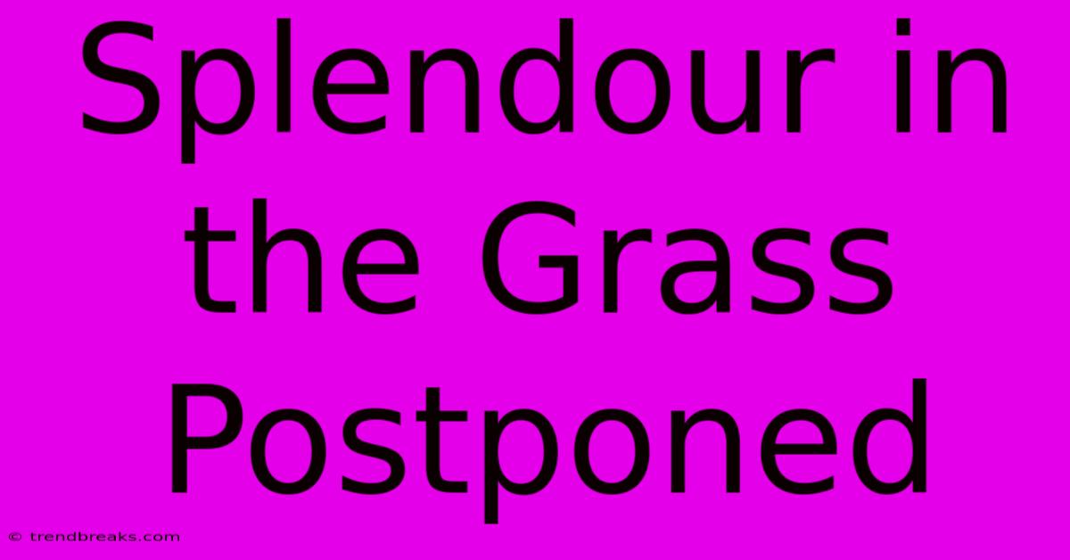 Splendour In The Grass Postponed