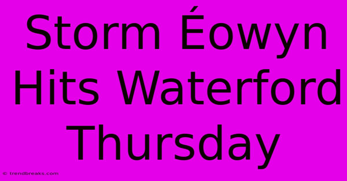 Storm Éowyn Hits Waterford Thursday