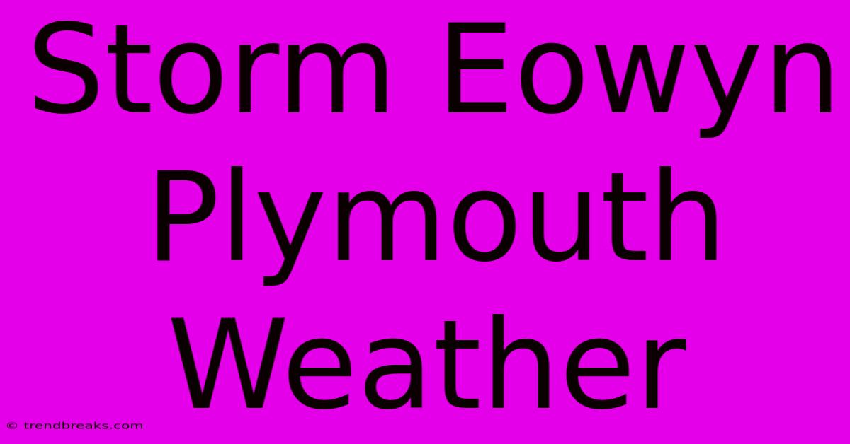 Storm Eowyn Plymouth Weather