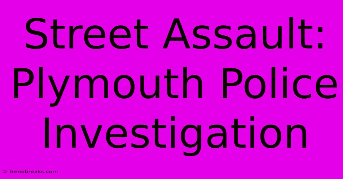 Street Assault: Plymouth Police Investigation