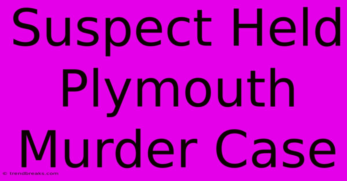 Suspect Held Plymouth Murder Case 