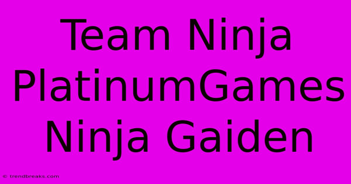 Team Ninja PlatinumGames Ninja Gaiden