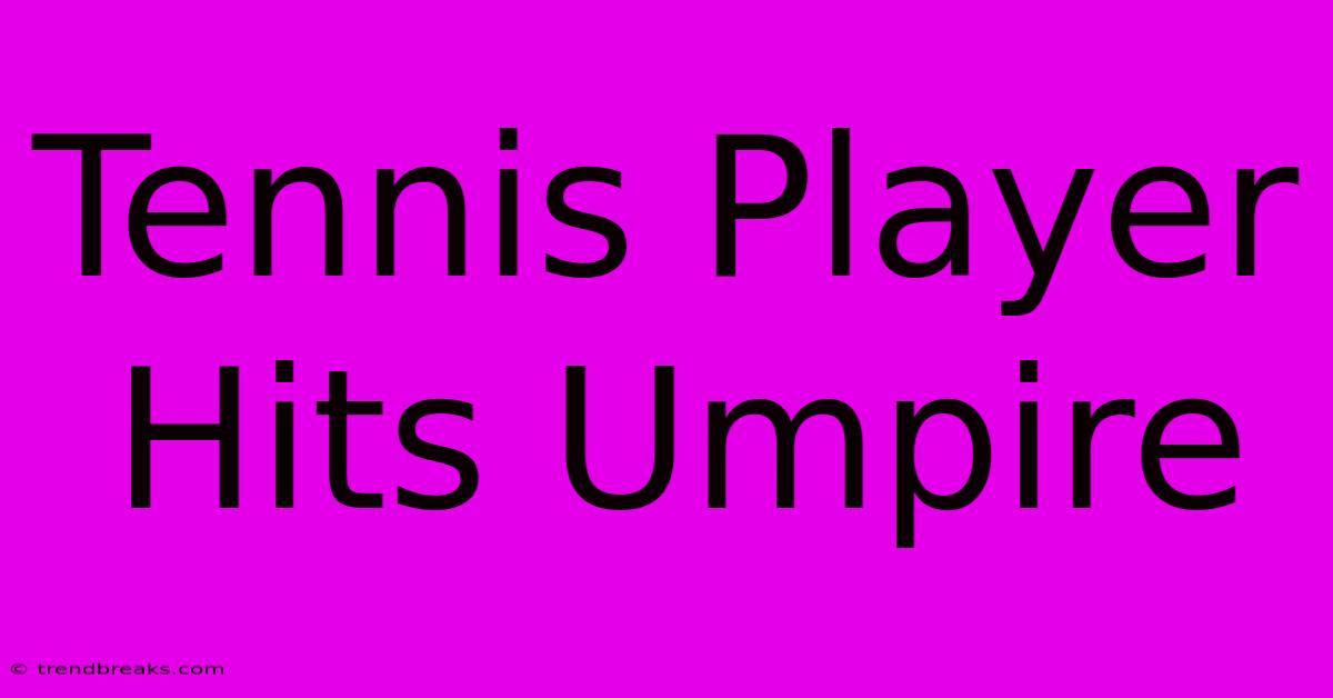 Tennis Player Hits Umpire