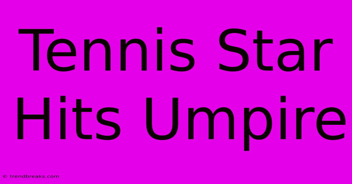 Tennis Star Hits Umpire