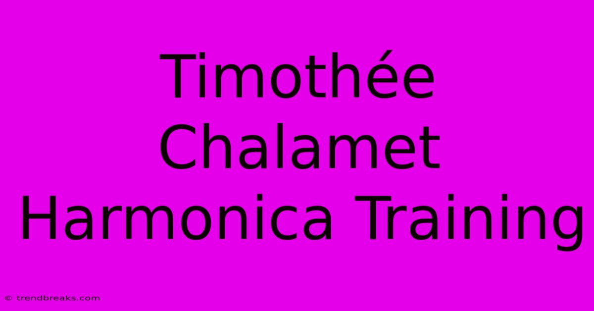 Timothée Chalamet Harmonica Training