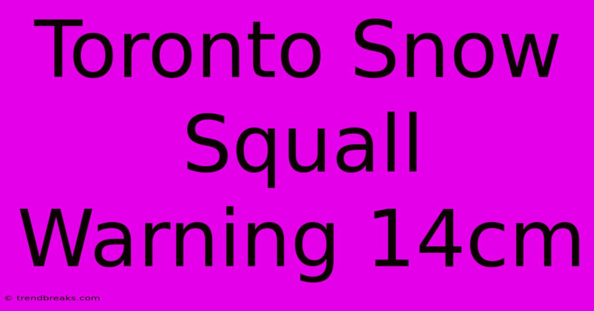 Toronto Snow Squall Warning 14cm