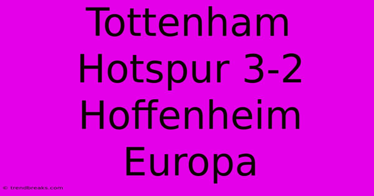 Tottenham Hotspur 3-2 Hoffenheim Europa