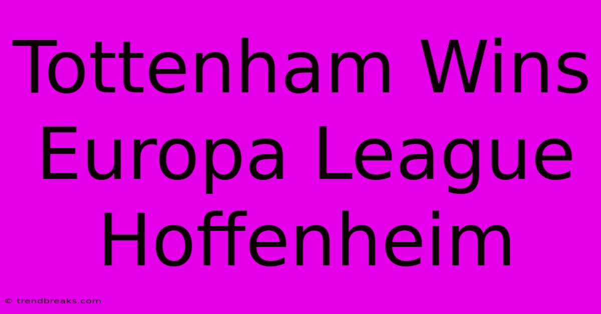 Tottenham Wins Europa League Hoffenheim