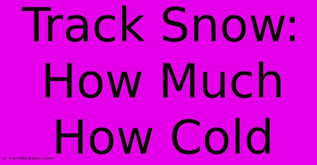 Track Snow: How Much How Cold