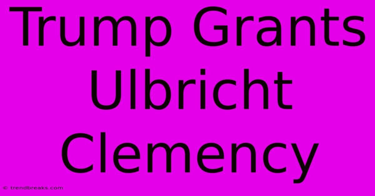 Trump Grants Ulbricht Clemency