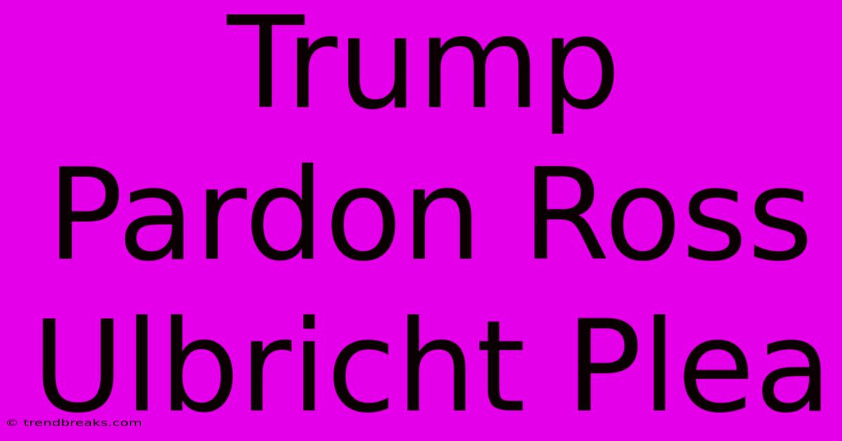 Trump Pardon Ross Ulbricht Plea