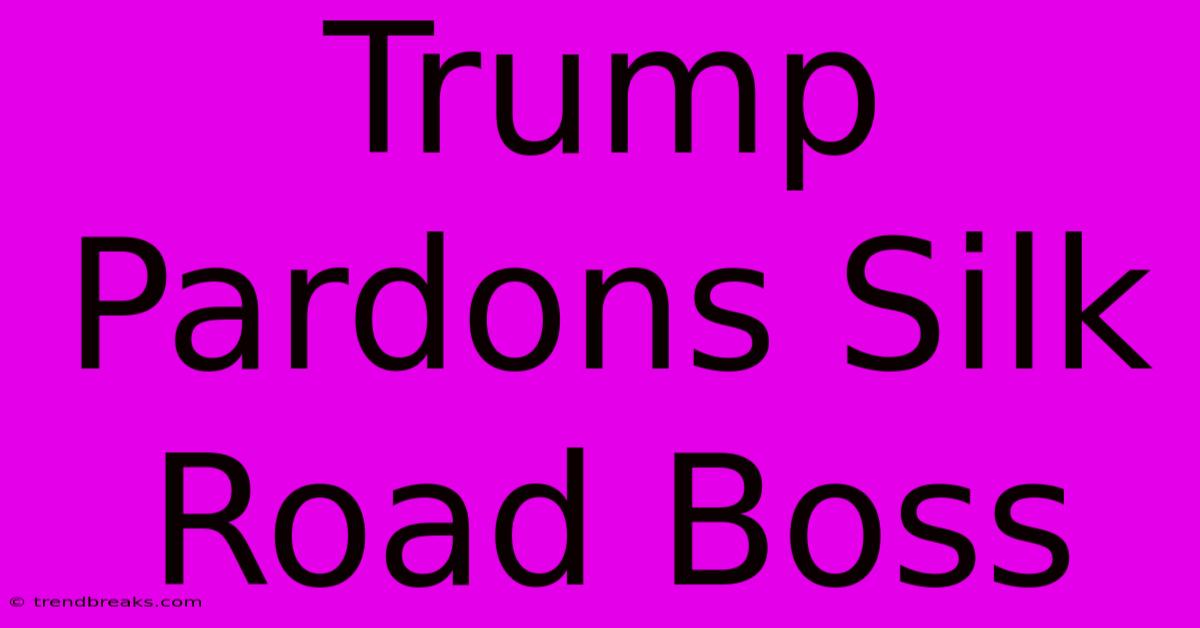 Trump Pardons Silk Road Boss