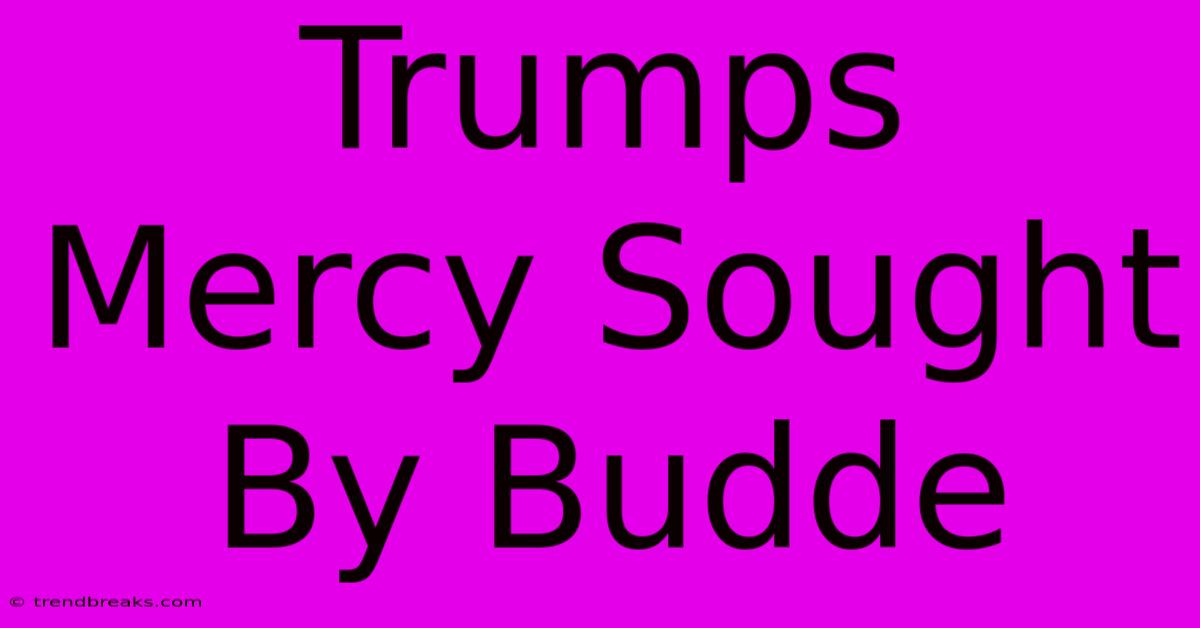 Trumps Mercy Sought By Budde