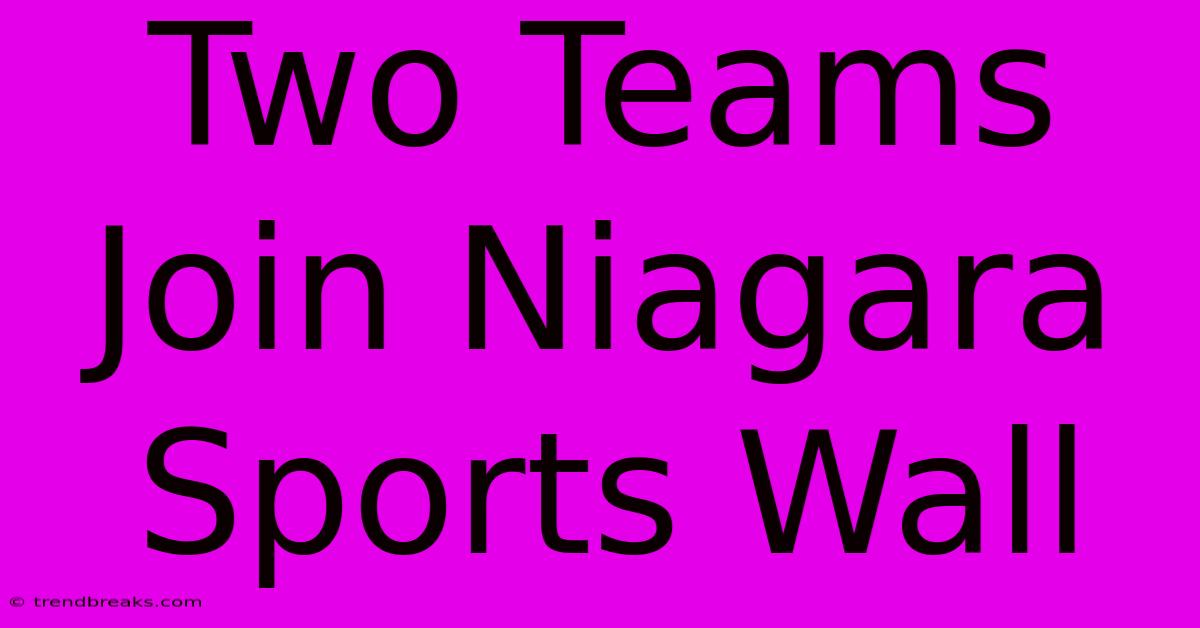 Two Teams Join Niagara Sports Wall