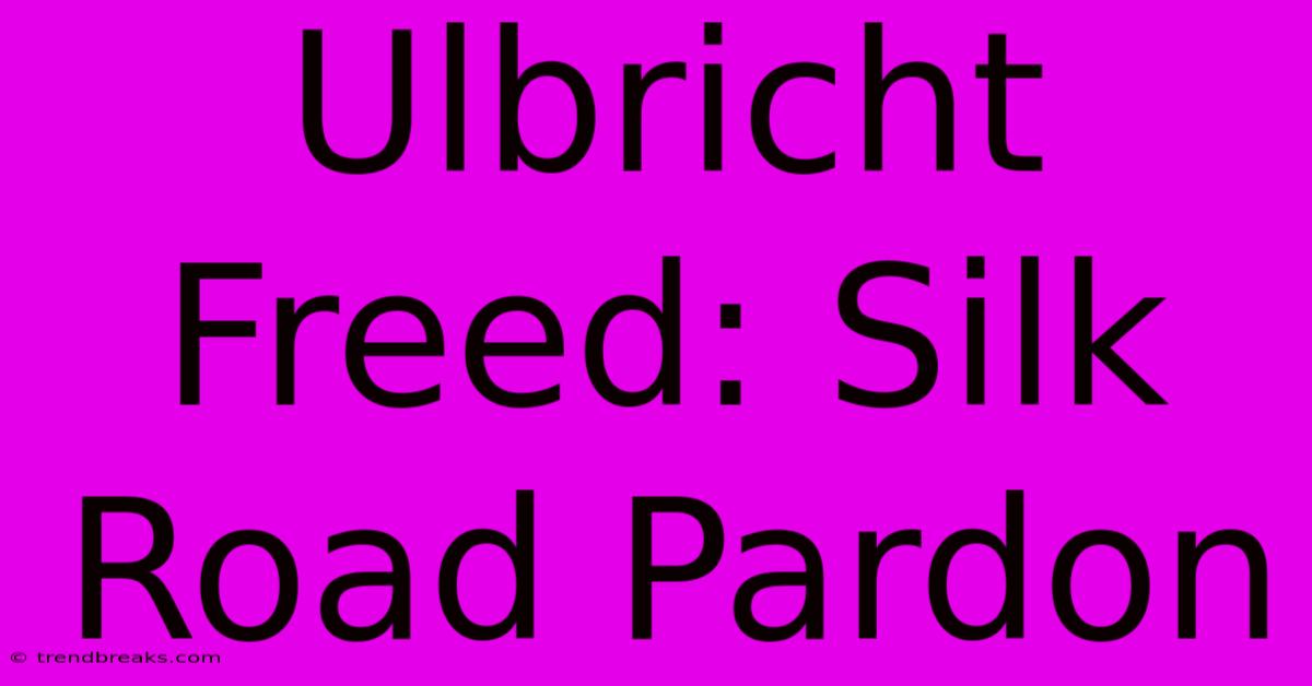 Ulbricht Freed: Silk Road Pardon