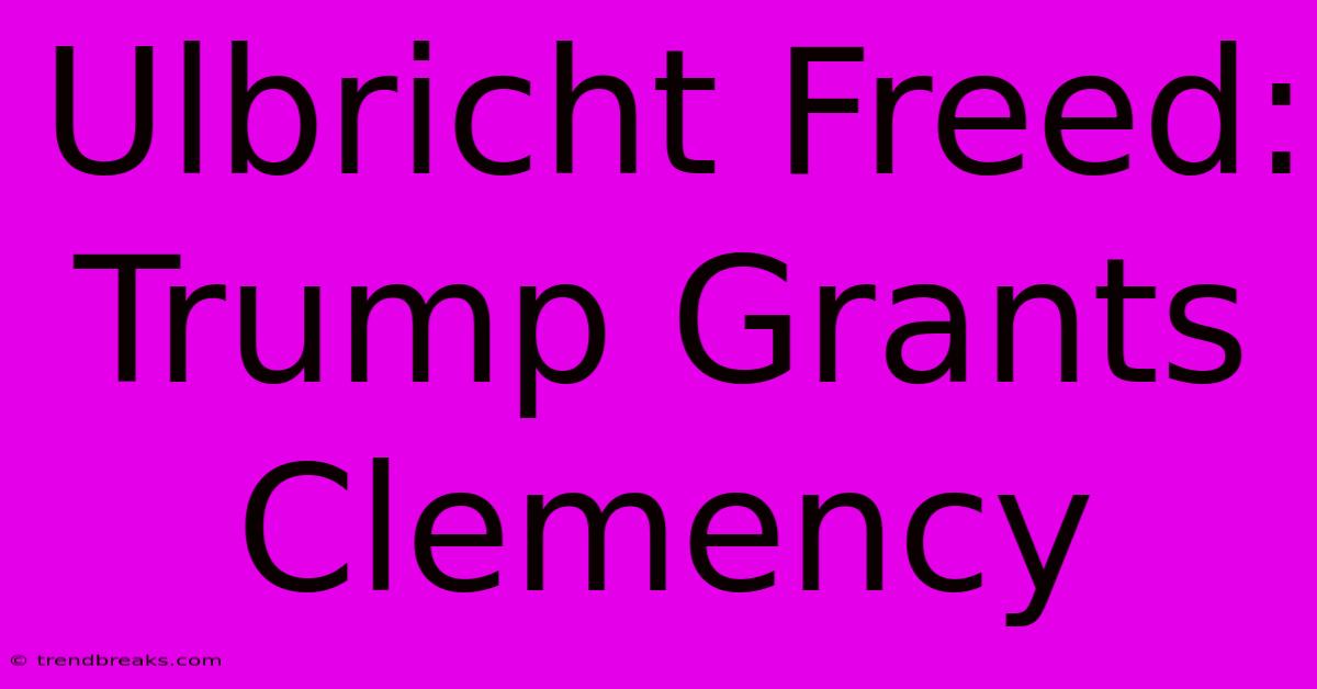 Ulbricht Freed: Trump Grants Clemency