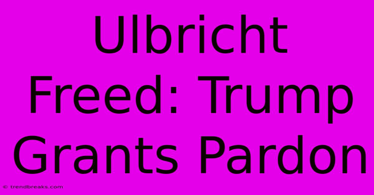 Ulbricht Freed: Trump Grants Pardon