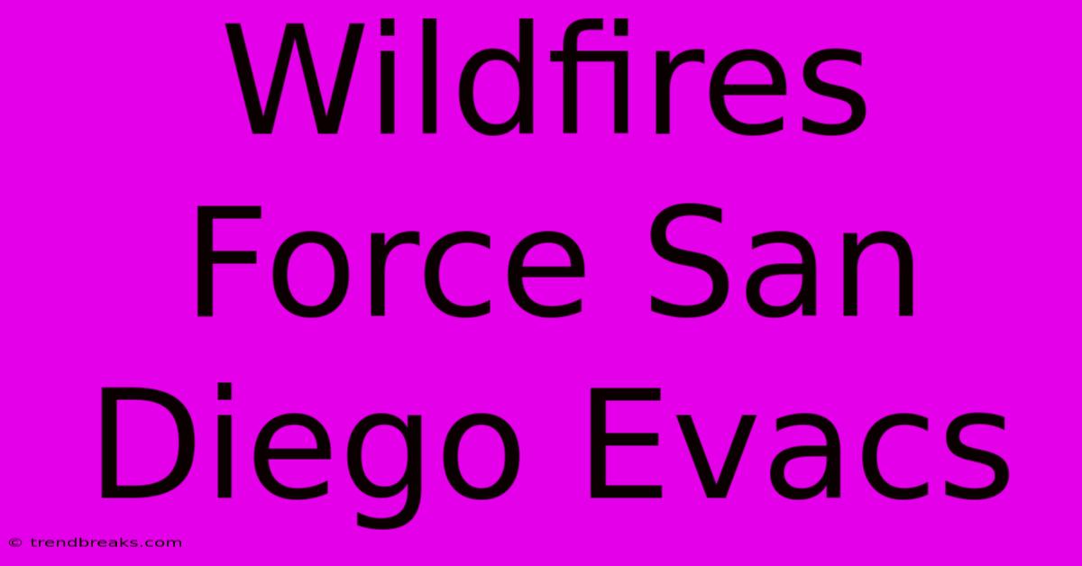 Wildfires Force San Diego Evacs 