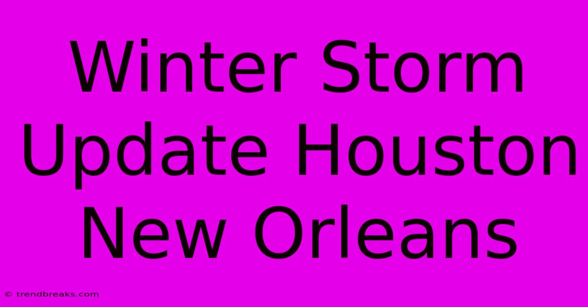 Winter Storm Update Houston New Orleans