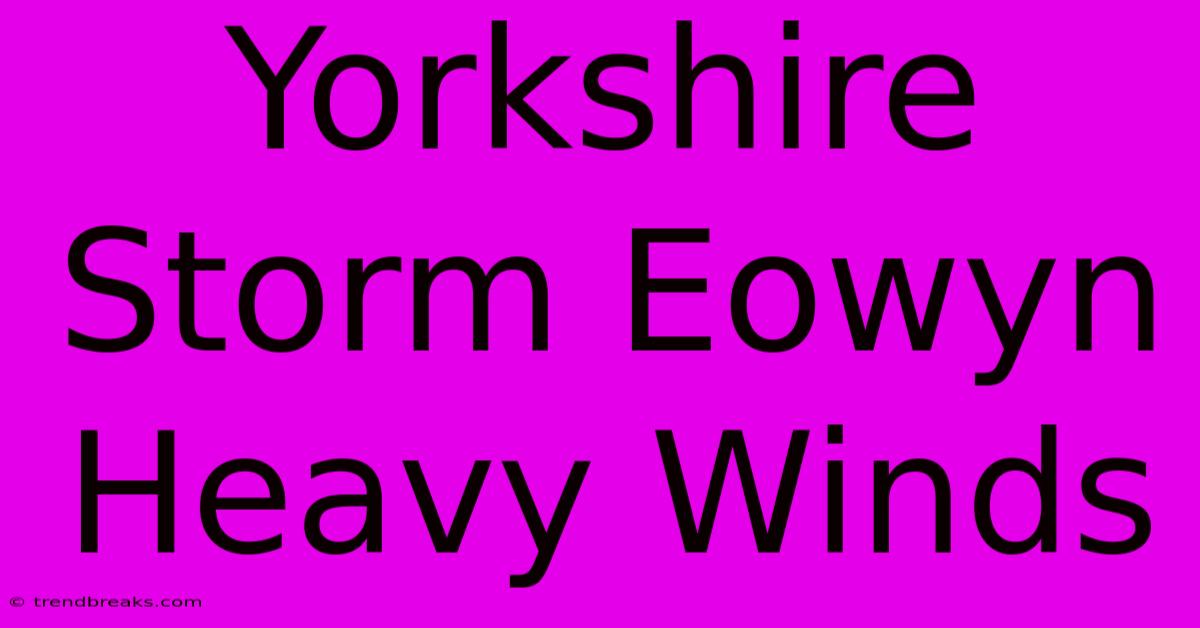 Yorkshire Storm Eowyn Heavy Winds