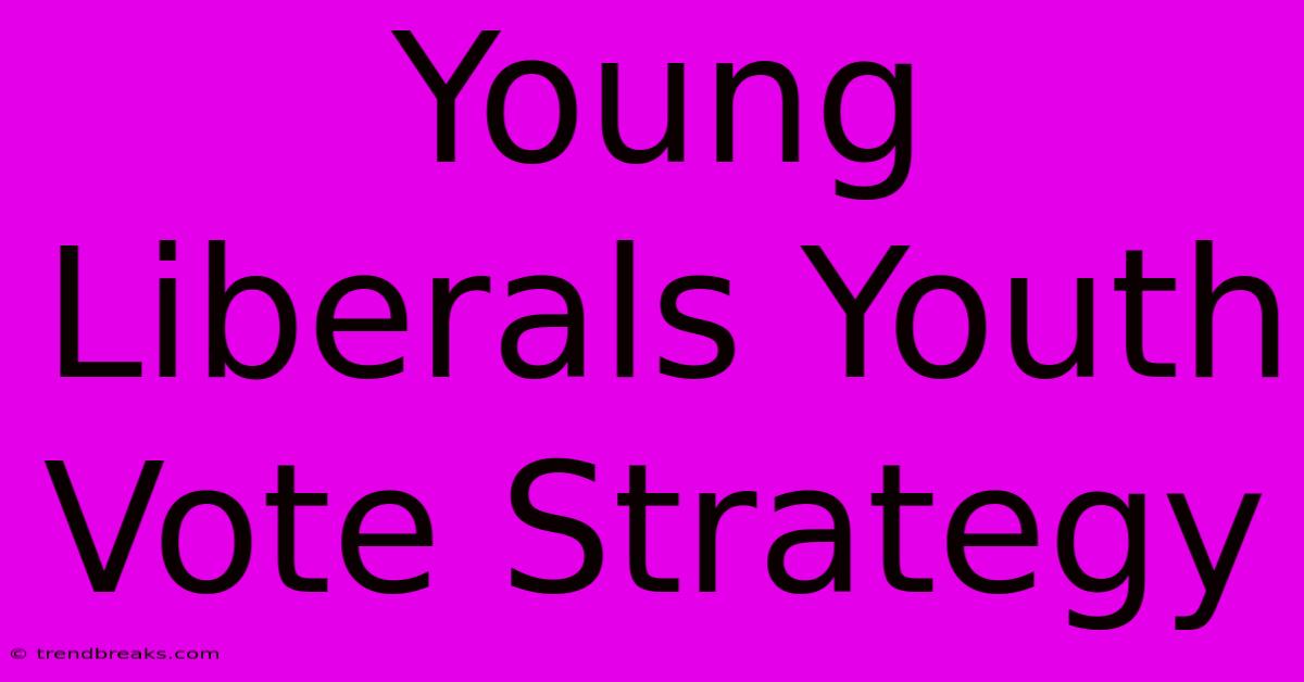 Young Liberals Youth Vote Strategy